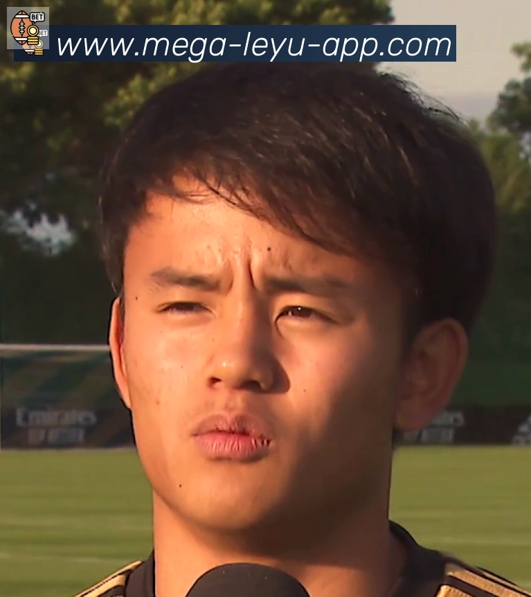 维尼修斯
